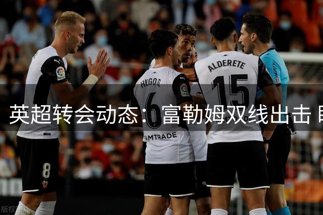 英超转会动态：富勒姆双线出击 瞄准法甲新星与威尔士国脚