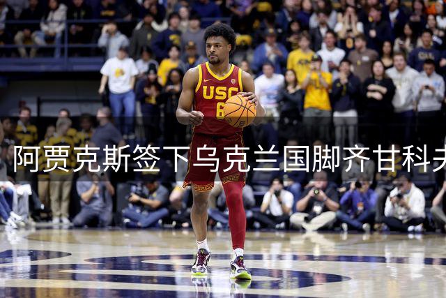 阿贾克斯签下乌克兰国脚齐甘科夫 合约期五年
